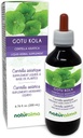 Naturalma Gotu kola (Centella asiatica) erva sem álcool Tintura - 6.76 fl oz Extrato líquido em gotas - Suplemento de ervas - Vegan