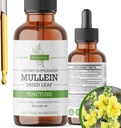Tintura Mullein – gotas de mullein orgânicos para suporte pulmonar e bem-estar respiratório – Made in the USA – 2 Fl Oz