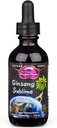 Dragon Herbs Ginseng Sublime Drops Todos os suplementos de extrato natural para apoiar energia, estresse, foco, pele, resistência, pulmões, saúde imune