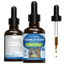 Bem-estar do animal de estimação jovem no coração para gatos - Vet-Formulated - Saúde do coração, Sistema circulatório e cardiovascular, Hawthorn, Motherwort, Schisandra - Suplemento de ervas 2 oz (59 ml)