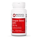PROTOCOLO PARA A VIDA BALANCE Sementes de uva OPC - 250mg - 90% Polifenóis - com Rutina & Amla Extract Fruit - Cápsula Sementes de uva - Não-GMO & Kosher - 90 Veg Caps