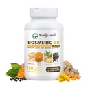 Complemento de Suporte Imune Conjunto, Complexo C3 de Curcumina Turmérica de Mistura Patenteada com Pimenta Preta, Extrato e Ginger da Boswellia PS, Fast-Acting 20 minutos, 8 horas de liberação sustentada, 120 Caplets - Sanjevani
