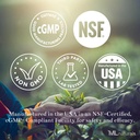 ML Naturals Phosphatidyl Serine 200 mg (Standard) 240 Cápsulas Vegetais. Suporta memória e função cerebral, não-GMO, NSF-certificado e cGMP-compliant