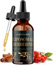 Berberina lipossomal Drops Suplemento 3000mg - Activador AMPK de alta absorção, Complexo de HCl Berberine Orgânico com canela de ceilão e gengibre para imune & digestão (2 fl oz)