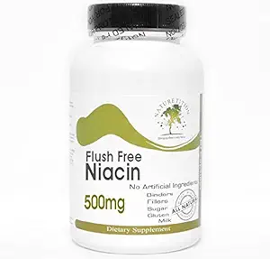 Flush Free Niacin 500mg ~ 90 Cápsulas - Sem Aditivos ~ Suplementos de Natureza