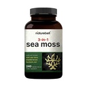 Cápsulas Irish Sea Moss, 3.000mg Por Serving, 240 comprimidos vegetarianos □ Feito com pó cru orgânico, além de Bladderwrack & Burdock Root, complexo vegetal marinho – Imune & Thyroid Superfood Support – Não-GMO