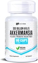 Healthfare Akkermansia Muciniphila Probiotic □ 300 Bilhões de UFA □ 90 Cápsulas Vegan □ Inulin Prebiótico para Gut Saúde & Suporte Digestivo