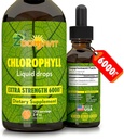 Chlorophyll Liquid Drops 100% Vegan orgânico - Energia e Imune Sistema Booster Suplemento com sabor de hortelã para água - Desodorante interno natural - Força extra 6000mg 120 Servings