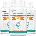 NAD lipossomal Orgabay+ Suplemento 500 mg, alta absorção, aumentar NAD+ com TMG 250 mg, NAD real Plus mais eficiente do que Nicotinamida Riboside, apoiar energia celular, envelhecimento saudável