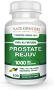 Certified Organic Vadik Herbs Prostate Rejuv Herbal Dietary Supplement □ Promove a saúde saudável da próstata e reduz os sintomas relacionados, suporta o funcionamento normal da próstata (1 pacote)