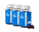 Chicletes de Ashwagandha mistos Berry KSM-66, Mane Leão, Vitamina-D, Não-GMO, Gluten-Free, Gelatin Free & Kosher (180 Count (Pacote de 3))