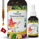Gotas Botânicas Naturais – Ginger e Enzimas Digestivas em uma Fórmula Orgânica para Bem-Estar Integral, Apoiar o Sistema Imune, Promover o alívio da inflamação e Melhorar a circulação sanguínea (50ml)