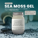 Ashwagandha Mango Sea Moss Gel Orgânico Fruta Fresca Infundida Selvagem Colheita Irish Sea Moss Gel Imune e Apoio Digestivo