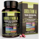 Urolithin Um suplemento para mulheres trabalhadoras urbanas: Cápsulas anti-envelhecimento com Trans-Resveratrol e CoQ10 - EUA Lab verificado Suporte saudável envelhecimento e renovação celular(9in1)