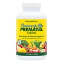 Naturezas Plus Fonte de Vida Pré-natal - 800 mcg Folato, 90 comprimidos vegetarianos - Todas as vitaminas e minerais naturais pré-natais com ferro e cálcio - Saúde e energia ideais - Sem glúten - 45 serviços