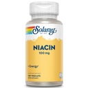 SOLARAY Niacin 100 mg, Vitamina B3 – Saúde da Pele, Sistema Nervoso e Suporte à Circulação