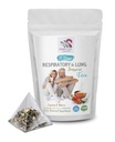 vitaminas respiratórias - RESPIRATORY E LUNG APOIO TEA 14 Dias com canela, hibisco, raiz de Marshmallow, Astragalus, hortelã, folha de chá de eucalipto 1 Pacote 14 Sacos de chá