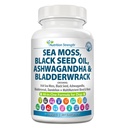 Sea Moss para cães 750mg Black Seed Oil 500mg Ashwagandha 250mg Açafrão 250mg Bladderwrack 250mg Dandelion 250mg & Vitamina C Vitamina D3 com Elderberry Manuka Yellow Dock 90 Comprimidos