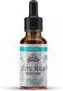 Gotu Kola Tintura, Extrato orgânico Gotu Kola, Gotu Kola Drops (Centella Asiatica) Herb seco
