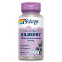 SOLARAY Bilberry Berry Extract 60 mg por cápsula, poderoso antioxidante, poder garantido para visão saudável e suporte de circulação 120 VegCaps
