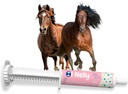 Probióticos de Cavalo (80cc), Colar de Cavalo Pre e Probióticos +Vitaminas &Minerais- 4 Strains e 8 Bilhões de UFC por Servindo- Imune e Gastro Apoio à Saúde para Equinos