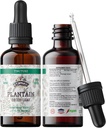 Tintura de banana, extrato orgânico de banana (Platago Major) Suplemento de saúde de folhas secas, não-GMO em Glicerina vegetal orgânica a frio 2 onças, 670 mg