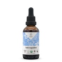 Astragalus USDA Organic Alcohol-Free Extract (Suplemento dietético, Tintura de alta potência) Natural Certified Organic Astragalus (Astragalus membranaceus) Dried Root (2 onças)