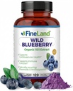 FineLand Wild Blueberry 10:1 Extrato, 6.000 mg de força, 120 Cápsulas Vegan, Rico em Flavonoides e Antocianinas, Suporte antioxidante para a saúde do cérebro e coração, Fornecimento de 4 meses, Não-GMO Made in USA