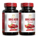 Suporte Ácido URIC - Restaurar o Conforto Conjunto, Mobilidade, Flexibilidade, Inclui Cereja Tart, Chanca Piedra, Extrato de Aipos e Açafrão - 2 Garrafas 120 Cápsulas