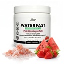 ÁGUAFAST Monk Fruit Keto Electrolyte Powder para jejum e hidratação- Morango sabor de melancia (Sal de Himalaia Rosa (Sódio), Potássio, Magnésio, Cálcio, Livre de Açúcar