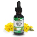 Resposta da Natureza Mullein Herb - Mullein Leaf Extract for Lungs - Alcohol Free, Non GMO, Made in USA - Suporta Função Respiratória & Promove Pulmões Saudáveis - Mullein Leaf 1 Once Extract