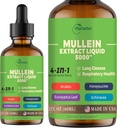4-em-1 Mullein Drops para Pulmões, Folha Orgânica de Mullein & Honeysuckle & Eucalyptus Leaf & Echinacea Extracts, para Lung Cleanse, Immune & Respiratory Support, Sugar-Free
