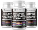 Lions Mane Supplement Cognitive Support, Imune Health with Turkey Tail 20in1 Mushroom Reishi Cordyceps Chaga with Marshmallow Root -180 Count