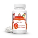 Cápsulas Gum Premium Mastic - Suplemento de suporte gastrointestinal natural, 1000mg por serviço - 120 cápsulas (1 garrafa)