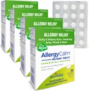 Boiron AlergiaCalm Comprimidos 240 Contagem, Alívio de Alergias e Febre de Hay Sintomas de espirros, Nariz Runny, Comichões Olhos, Garganta, Alergia calma Tabs (Alergia Rhin antiga) (Pacote de 4 caixas 60ct)