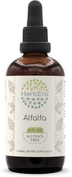 HerbEra Alfalfa B120 Extrato de ervas sem álcool Tintura, gotas de líquido concentradas Alfalfa natural 4 fl oz