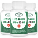 NAD+ Suplemento Liposomal NAD+ Plus 800MG Nicotinamida Riboside Alternativa para Energia Celular, Envelhecimento Saudável e Reparação Músculo 180 Cápsulas (Pacote de 3)