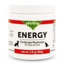 Animal Essentials Energia Cordyceps Mushroom Supplement for Dogs & Cats - Suporte resistência e resistência, funções respiratórias e renais saudáveis, antioxidante, extrato de cogumelos em pó - 2.8 Oz (Pack of 1)