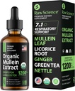 Gotas de muleína orgânicas para pulmões - Suporte respiratório e alívio de muco - Detox pulmonar para fumantes: Extrato de folha de mullein, Alcaçuz, Ginger, Orégano & Folha de urtiga, Thyme - Lung Cleanse Herbal Extract, 2 onças