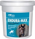 Kentucky Performance Endura-Max Suplemento de Eletrolito para Cavalos, 5 libras