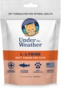 Sob o tempo animal de estimação diário gato L-Lysine
