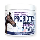 HealthyGutTM Probióticos para cavalos Suplemento dietético, fórmula de manutenção do sistema digestivo totalmente natural (30 dias)