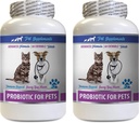gato Maus Tratos de Respiração - PROBIÓTICOS para Animais de estimação - Gatos Cães - Mau Gás e Respiração - Advanced Imune Boost - Melhores probióticos para Gatos - 2 Garrafas (120 Doces)
