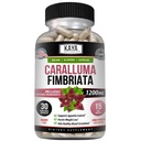 Kaya Naturals - Caralluma Fimbriata 1200mg Suplemento de alta potência de suporte de resistência máxima natural, cápsulas vegetarianas (30 contagem)