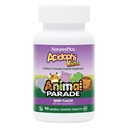 NaturesPlus Animal Desfile AcidophiKidz, Berry Flavor - 90 comprimidos mastigáveis, em forma de animal - pacote de 2 - com Probióticos, FOS & Sementes de uva - 180 Total Servings