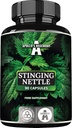 HEGEMONY da APOLLO Stinging Nettle 500 mg - Extrato de alta resistência DER 4:1, 90 Cápsulas Vegan, 3 Meses Abastecimento, Suplemento de ervas para apoiar a saúde cardiovascular