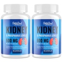 Suplemento de suporte renal – Rim Cleanse Detox com 600mg Niacinamida & Chitosan Oligossacarídeos – Fórmula Fósforo-Conscious – Cápsulas Vegetarianas para Adultos – 2 Garrafas