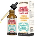 Glutationa Líquido lipossomal 2000MG – Antioxidante Detox Suplemento para Mulheres e Homens, Defesa do Envelhecimento, Função Fígado & Energia, com Ácido Hialurônico + Aloe Vera + Vitamina C, Natural & Vegan, 2 FL.OZ