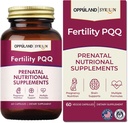 Fertilidade PQQ-pré-natal suplementos nutricionais-suporta saúde pré-natal, gravidez bem-estar-60 cápsulas