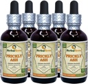 Tintura (Zanthoxylum Clava-herculis) em casca seca Extrato Líquido (Nome da marca: HerbalTerra, Proudly Made in USA) 5x2 fl.oz (5x60 ml)
